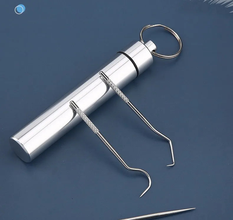 Stainless Steel Toothpicks Pocket Set, Portable Floss Pick Reusable Metal Toothpicks Tooth Cleaning Kit With Keychain Holder