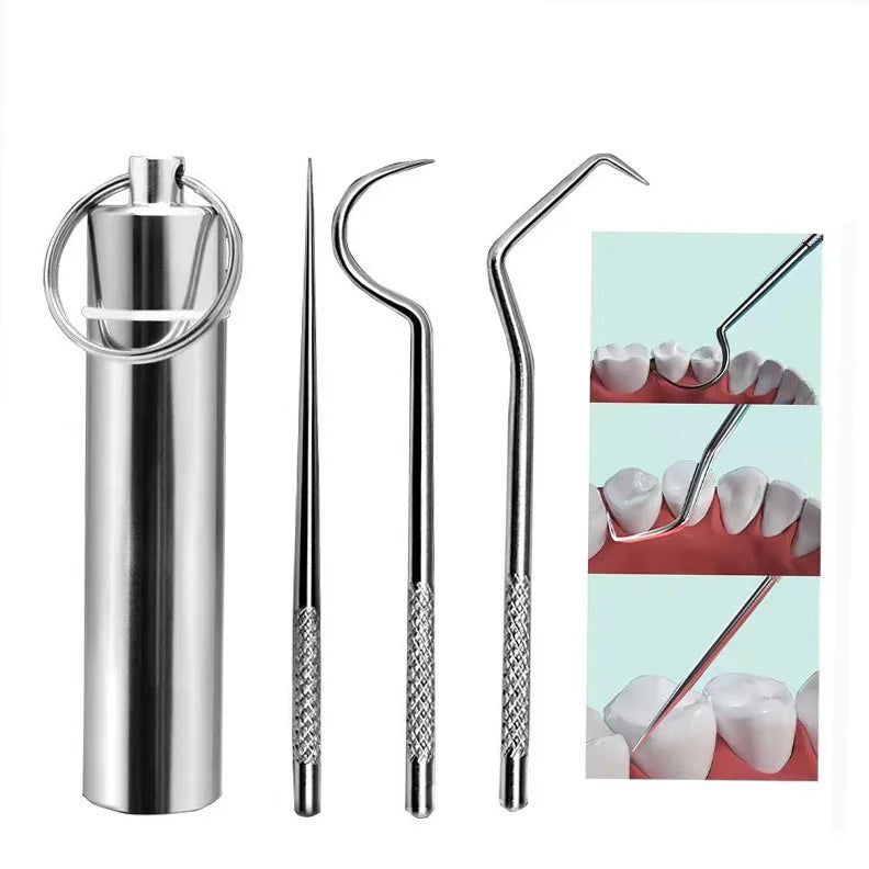 Stainless Steel Toothpicks Pocket Set, Portable Floss Pick Reusable Metal Toothpicks Tooth Cleaning Kit With Keychain Holder