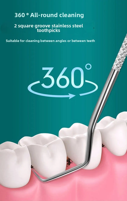 Stainless Steel Toothpicks Pocket Set, Portable Floss Pick Reusable Metal Toothpicks Tooth Cleaning Kit With Keychain Holder
