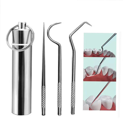 Stainless Steel Toothpicks Pocket Set, Portable Floss Pick Reusable Metal Toothpicks Tooth Cleaning Kit With Keychain Holder